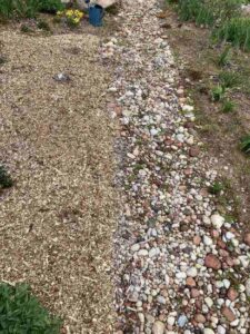 Natural DIY Weed Killer Spray Image